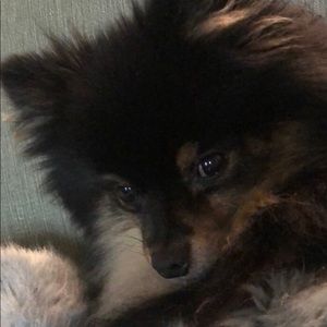 Meet your Posher, Evan